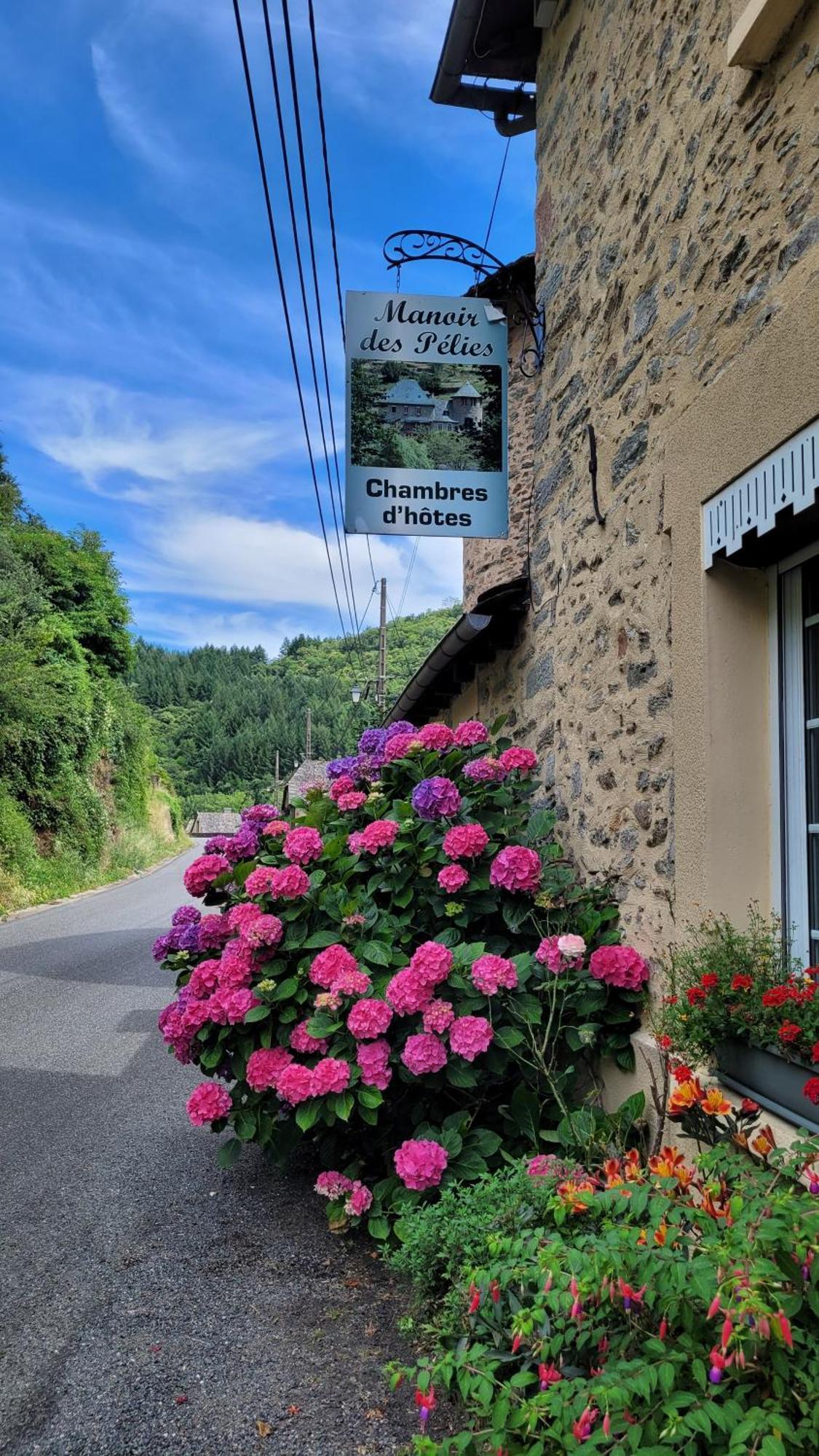Manoir Des Pelies Spa Конкес Екстериор снимка